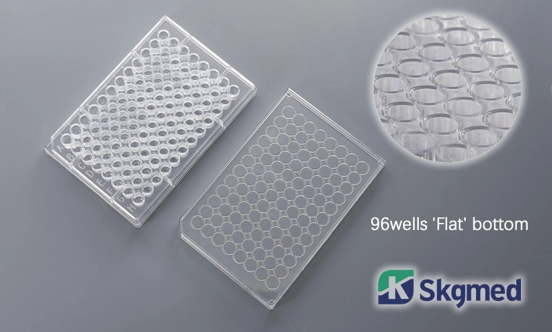 6 Wells Cell Culture Plate